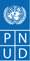 PNUD — Programme des Nations Unies pour le développement